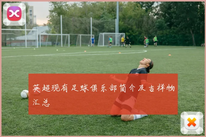 英超现有足球俱乐部简介及吉祥物汇总